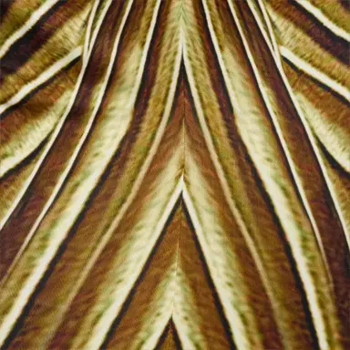 Roberto Cavalli Extra-Long Dress with Iside Print | Thumbnail 4
