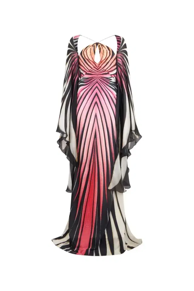 Ray Of Paradise Print Silk Maxi Dress