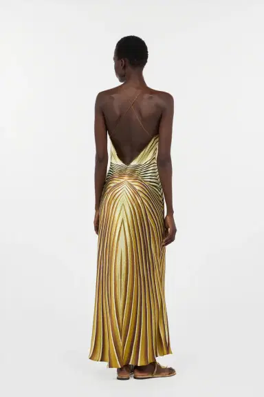 Roberto Cavalli Long Silk Dress with Iside Print | Thumbnail 3