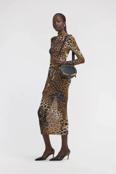 Roberto Cavalli Long Tulle Dress with Jaguar Print | Thumbnail 5