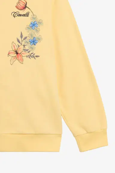 Roberto Cavalli Sweatshirt | Thumbnail 4
