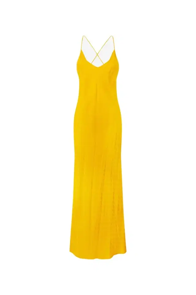 Roberto Cavalli Long Dress With Mirror Snake Monogram