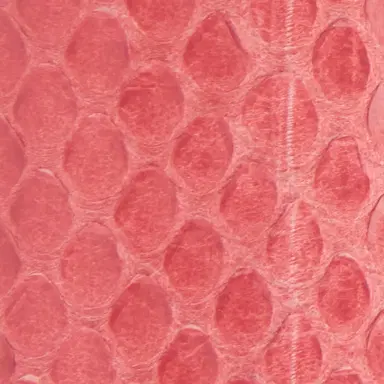 Roberto Cavalli Pink Leather Belt With Snake Buckle | Thumbnail 3 Roberto Cavalli Pink Leather Belt With Snake Buckle | Thumbnail 3