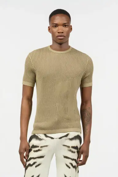 Roberto Cavalli Openwork Knit T-Shirt | Thumbnail 2
