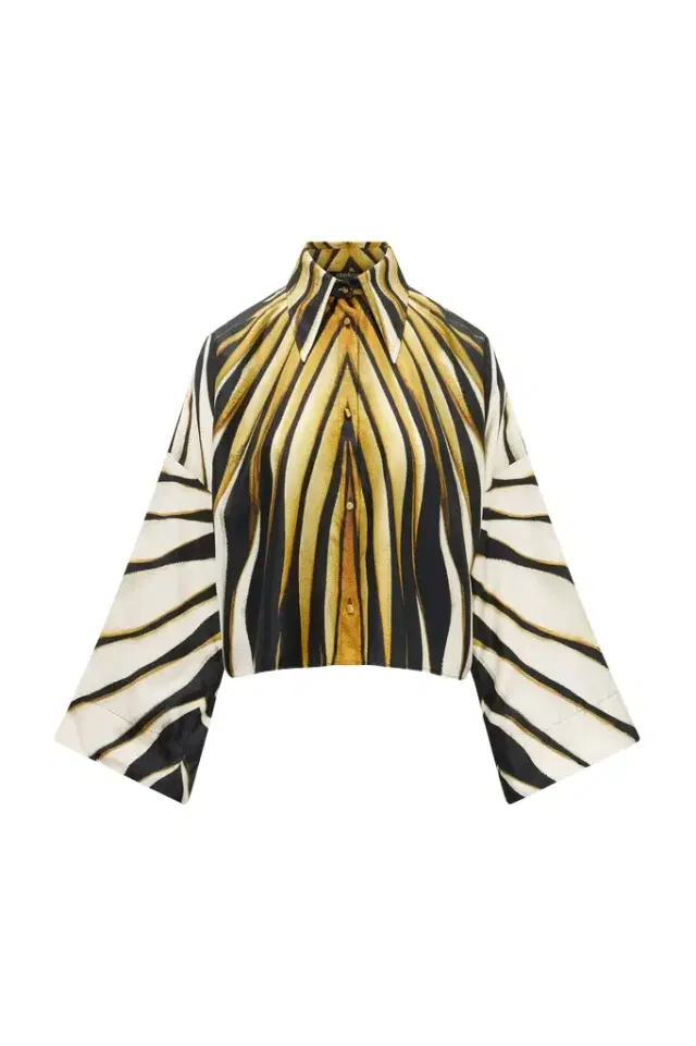 Roberto Cavalli Ray Of Gold Print Silk Shirt