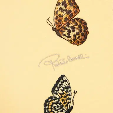 Roberto Cavalli Butterfly Pants | Thumbnail 3