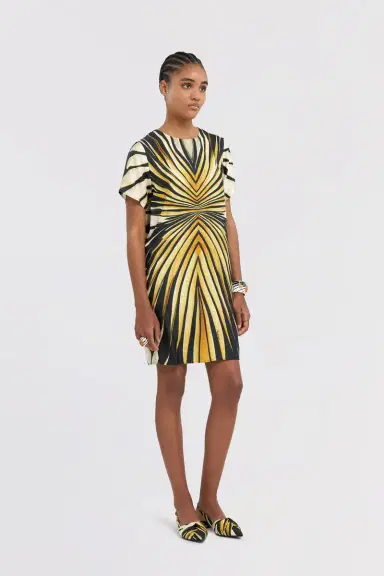 Roberto Cavalli Ray Of Gold Print Silk Mini Dress | Thumbnail 2 Roberto Cavalli Ray Of Gold Print Silk Mini Dress | Thumbnail 2