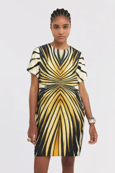 Roberto Cavalli Ray Of Gold Print Silk Mini Dress | Thumbnail 4 Roberto Cavalli Ray Of Gold Print Silk Mini Dress | Thumbnail 4