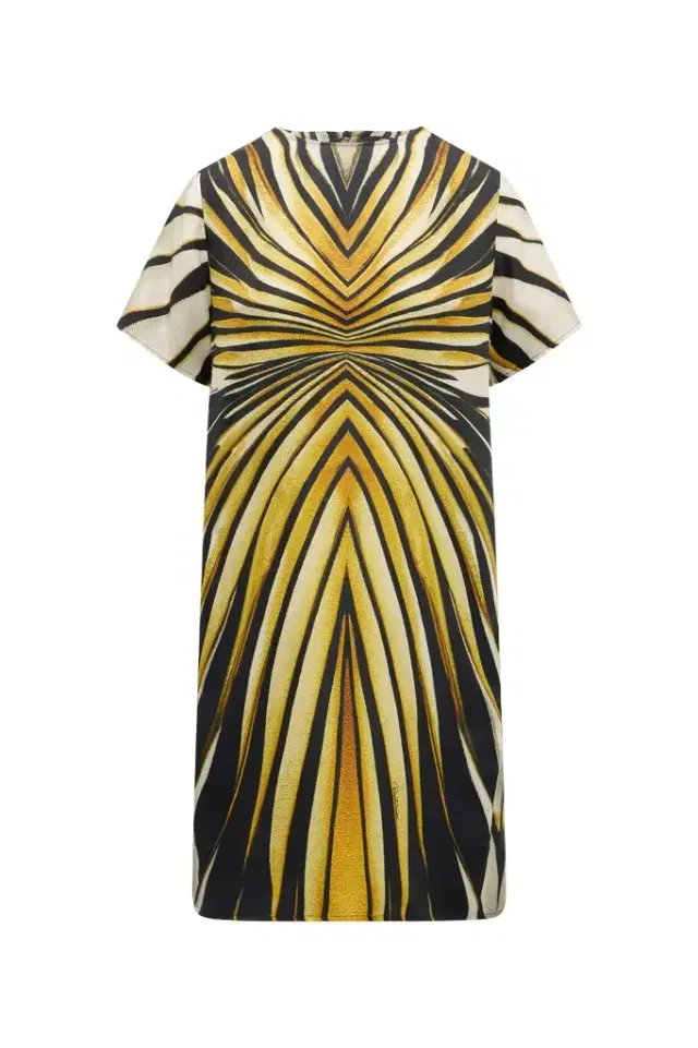 Ray Of Gold Print Silk Mini Dress