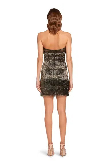 Roberto Cavalli Dress | Thumbnail 4