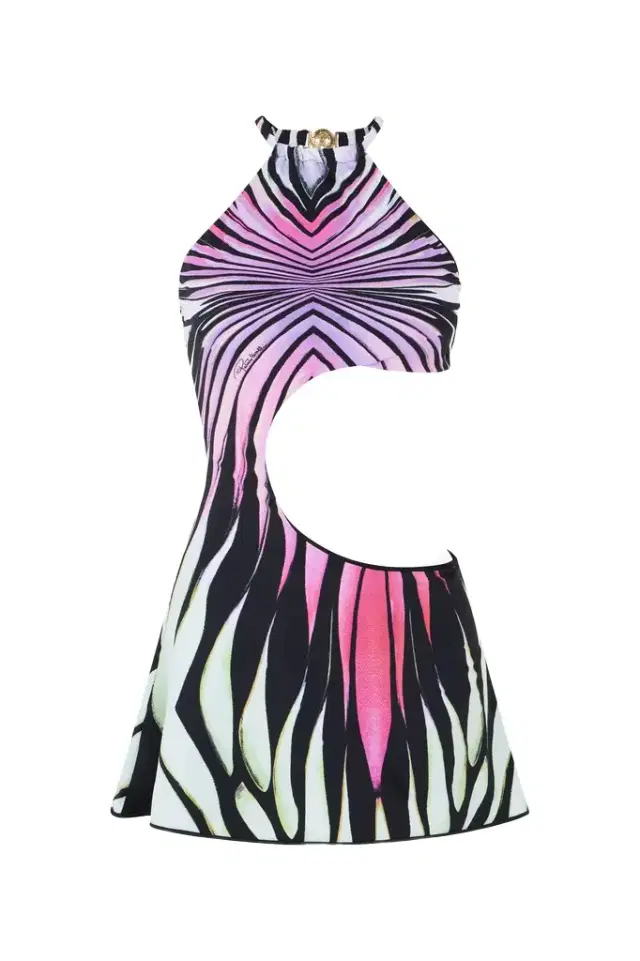 Ray of Paradise Print Dress Mini