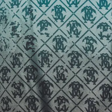Roberto Cavalli Silk Shirt with Monogram | Thumbnail 4