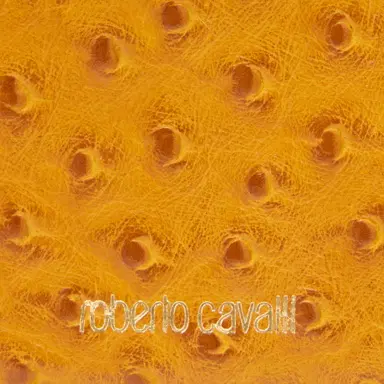 Roberto Cavalli Mini Roar Bag With Jeweled Tigers | Thumbnail 4 Roberto Cavalli Mini Roar Bag With Jeweled Tigers | Thumbnail 4