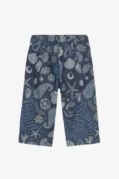 Roberto Cavalli Marine-Print Shorts | Thumbnail 2