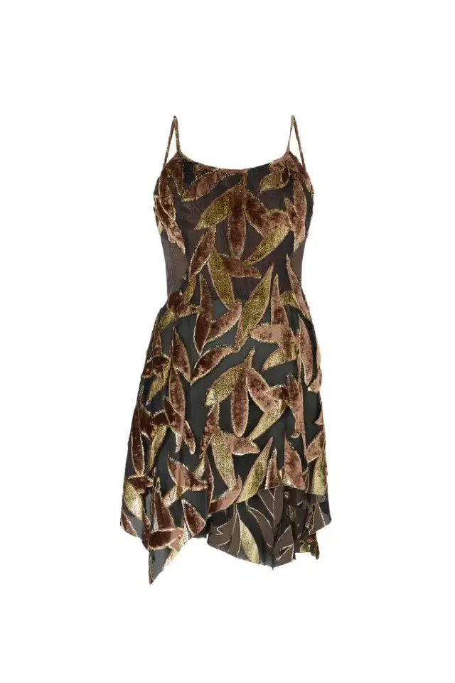 Roberto Cavalli Chocolate Sheer Mini Dress with Foliage Motif