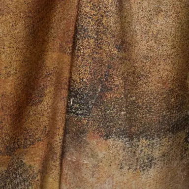 Roberto Cavalli Beige Caftan With Affresco Printed On Silk Twill | Thumbnail 4