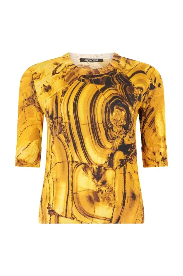 Roberto Cavalli Silk And Wool Sweater With Tigereye Print