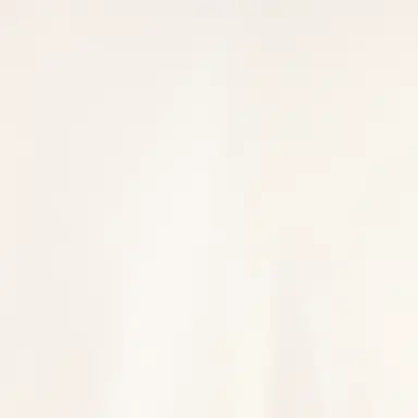Roberto Cavalli Sweatshirt With Monogram | Thumbnail 4 Roberto Cavalli Sweatshirt With Monogram | Thumbnail 4