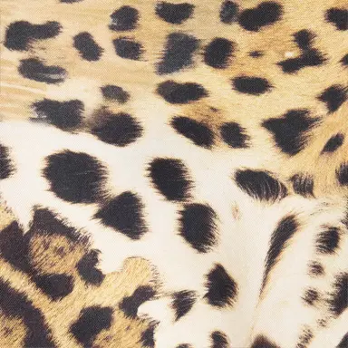 Roberto Cavalli Silk Shirt With Animal Prints | Thumbnail 4 Roberto Cavalli Silk Shirt With Animal Prints | Thumbnail 4