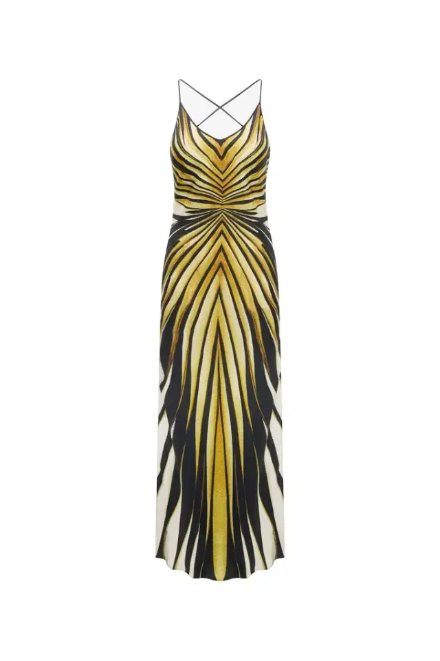 Ray Of Gold Print Silk Maxi Dress