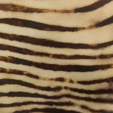 Roberto Cavalli Mini Dress With Tiger Skin Print | Thumbnail 4