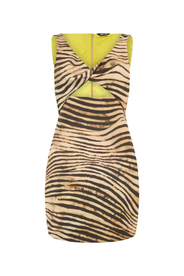 Roberto Cavalli Mini Dress With Tiger Skin Print
