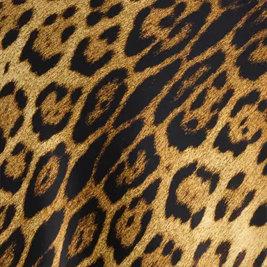 Roberto Cavalli Silk Skirt With Jaguar Skin Print | Thumbnail 4