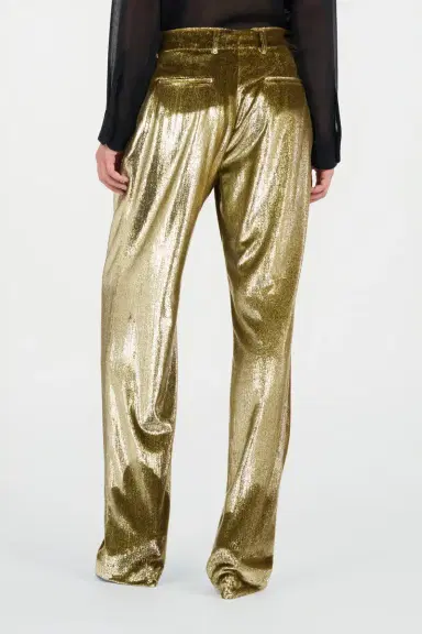 Roberto Cavalli Gold Velvet Long Pants | Thumbnail 3