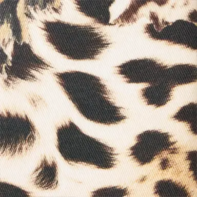 Roberto Cavalli Pants With Jaguar Skin Print | Thumbnail 4