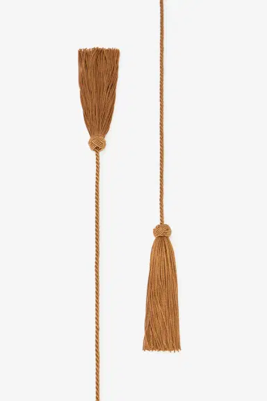 Roberto Cavalli Chocolate corset belt in velvet with tassels | Thumbnail 2