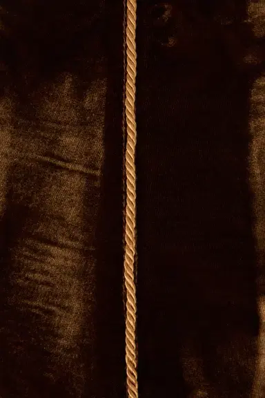 Roberto Cavalli Chocolate corset belt in velvet with tassels | Thumbnail 3