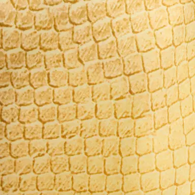 Roberto Cavalli Wide-Leg Silk Pants with Beige and Sand Serpentine Print | Thumbnail 4