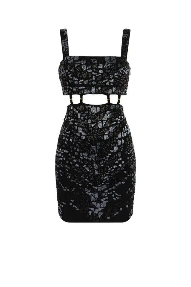 Roberto Cavalli Leopard Bead-Embellished Mini Dress