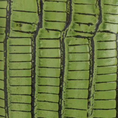 Roberto Cavalli Green Leather Belt With Snake Buckle | Thumbnail 3 Roberto Cavalli Green Leather Belt With Snake Buckle | Thumbnail 3
