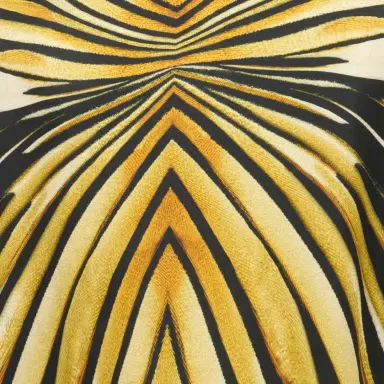 Roberto Cavalli Ray Of Gold Print T-Shirt | Thumbnail 4 Roberto Cavalli Ray Of Gold Print T-Shirt | Thumbnail 4