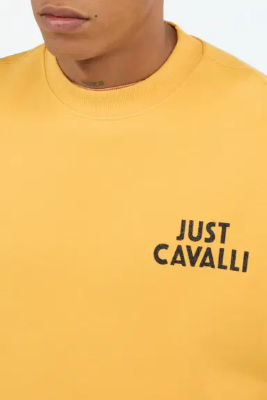 Roberto Cavalli Tattoo Heart Print Sweatshirt | Thumbnail 4 Roberto Cavalli Tattoo Heart Print Sweatshirt | Thumbnail 4