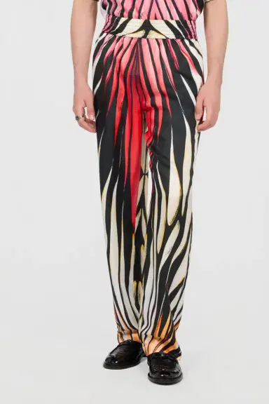 Roberto Cavalli Ray Of Paradise Print Trousers | Thumbnail 2