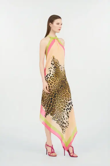 Roberto Cavalli Cavalli Pop Print Silk Dress | Thumbnail 2