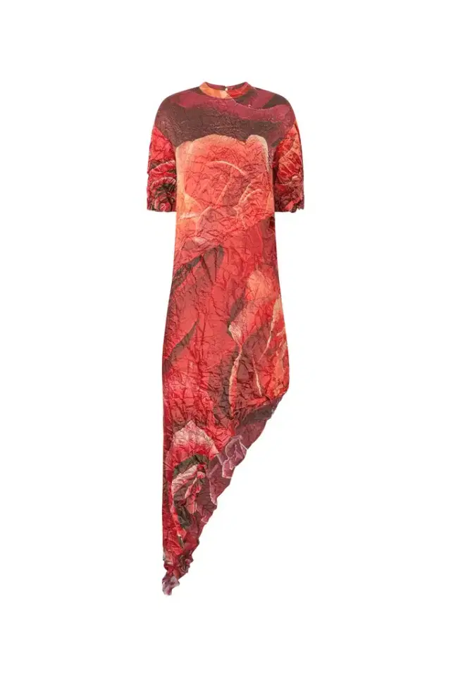 Roberto Cavalli Crinkled Asymmetric Dress With Rose Print
