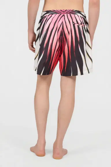 Roberto Cavalli Ray Of Paradise Print Swimsuit | Thumbnail 3