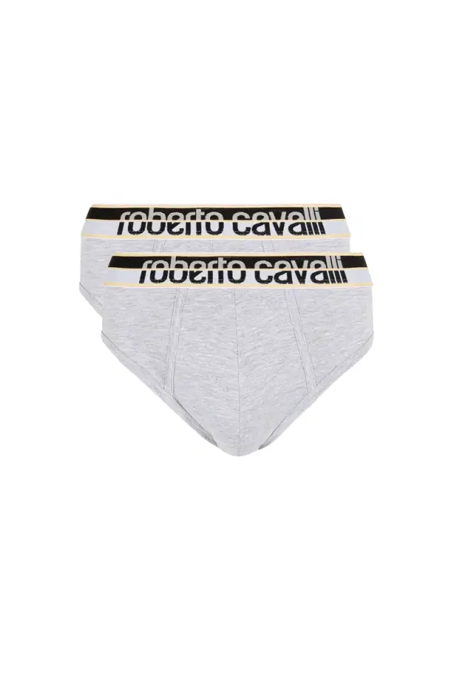 Roberto Cavalli Two-Pack Grey Cotton Briefs With Logo Waistband
