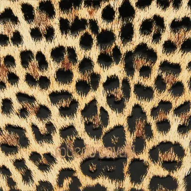 Roberto Cavalli Medium Roar Bag | Thumbnail 4 Roberto Cavalli Medium Roar Bag | Thumbnail 4