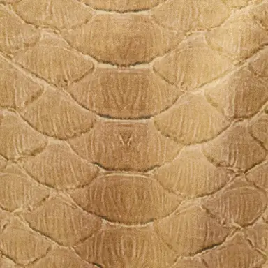 Roberto Cavalli Golden Beige Silk Shirt with Serpentine Print | Thumbnail 4 Roberto Cavalli Golden Beige Silk Shirt with Serpentine Print | Thumbnail 4