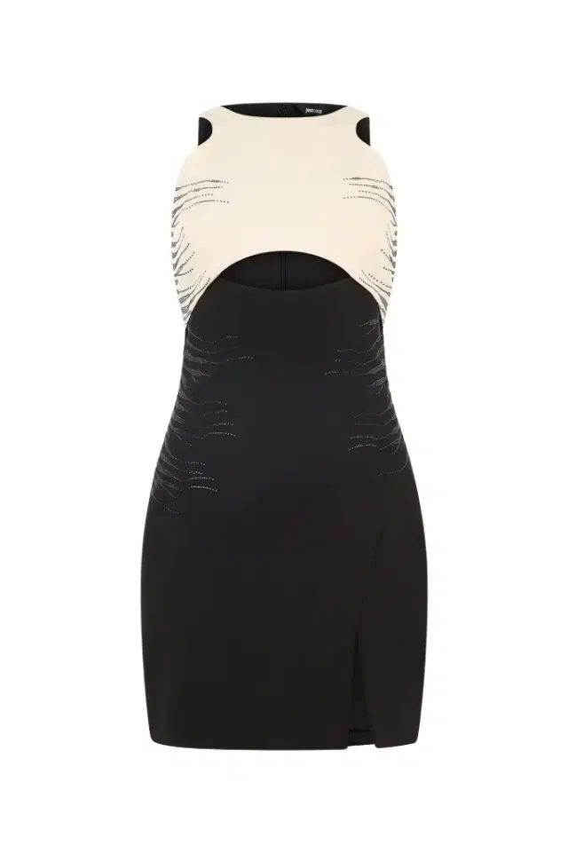 Roberto Cavalli Two-Tone Mini Dress With Cut-Out