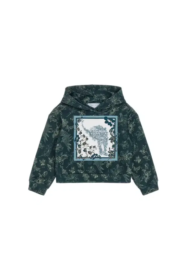 Roberto Cavalli Floral print sweatshirt