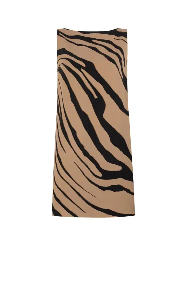 Roberto Cavalli Tiger-Print Mini Dress