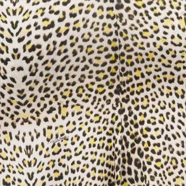 Roberto Cavalli Pop Jaguar Print Midi Dress | Thumbnail 4 Roberto Cavalli Pop Jaguar Print Midi Dress | Thumbnail 4