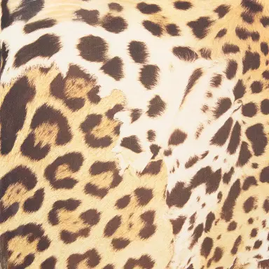 Roberto Cavalli Shirt With Jaguar Skin Print | Thumbnail 4