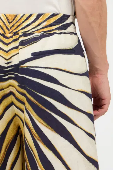 Roberto Cavalli Ray Of Gold Print Linen Bermuda | Thumbnail 6 Roberto Cavalli Ray Of Gold Print Linen Bermuda | Thumbnail 6