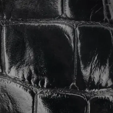 Roberto Cavalli Crocodile Scale-Effect Pumps | Thumbnail 4 Roberto Cavalli Crocodile Scale-Effect Pumps | Thumbnail 4